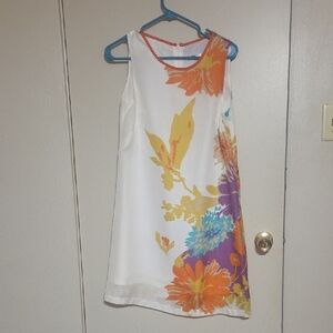 Jade Orange and White Garment